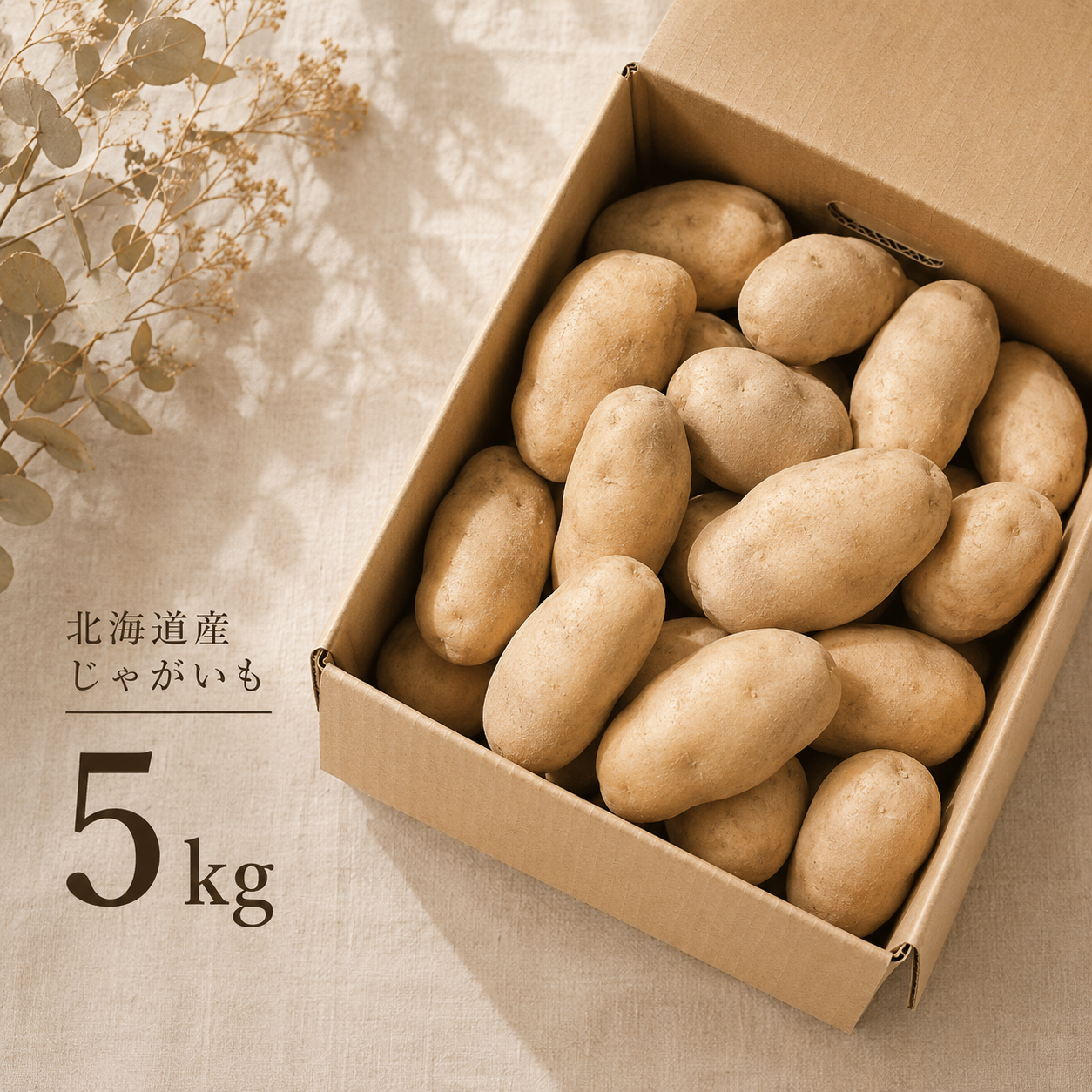 品種が選べる!!】越冬じゃがいも5kg – 坊主の商店