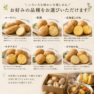 【品種が選べる!!】越冬じゃがいも5kg