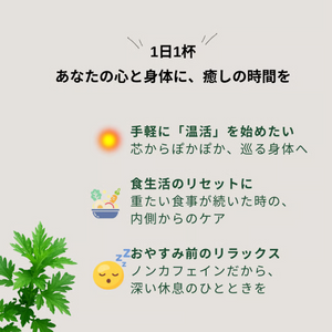 【お試し・送料込み】沖縄県産よもぎ茶「FŪCHIBĀ TEA」3包入｜（残留農薬検査済）
