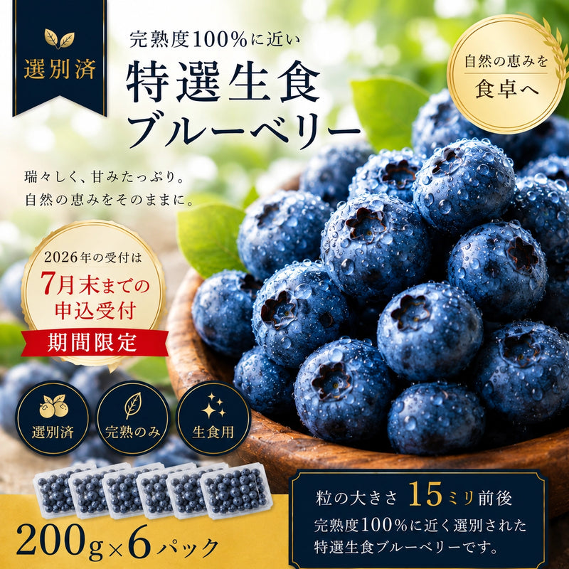 完熟生食ブルーベリー | 選別済・期間限定のお届け（200g×6パック）