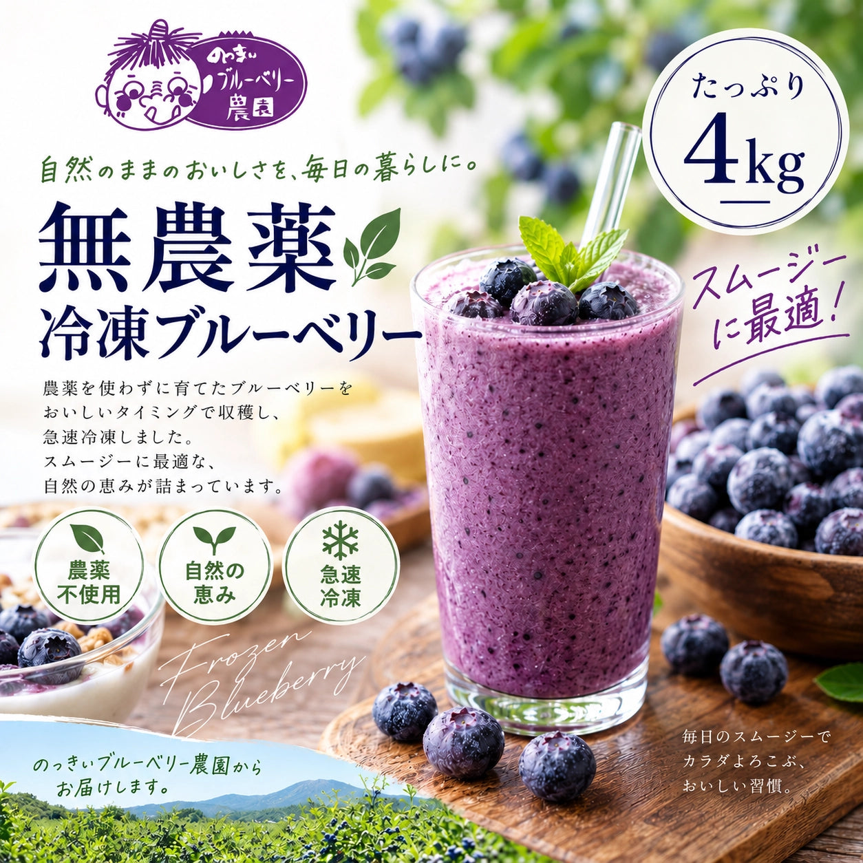 【訳あり特価】スムージーに最適な無農薬冷凍ブルーベリー4キロ