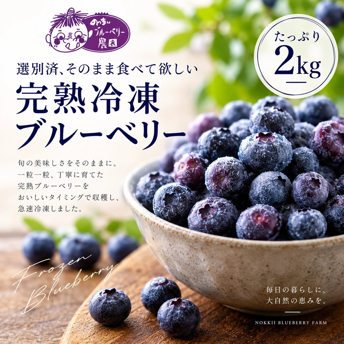 愛知・奥三河育ち｜農薬不使用 完熟冷凍ブルーベリー 2kg【厳選・選別済み】