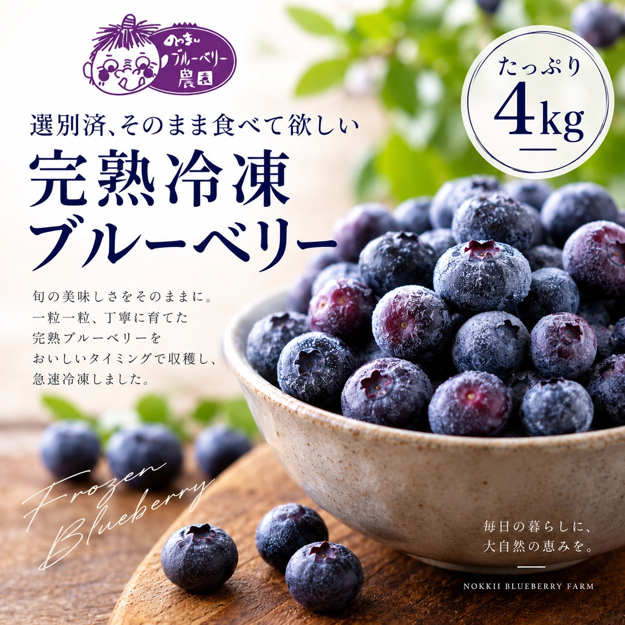愛知・奥三河育ち｜農薬不使用 完熟冷凍ブルーベリー 4kg【厳選・選別済み】
