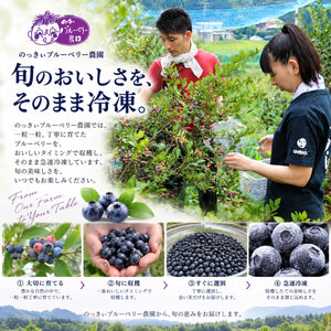【訳あり特価】スムージーに最適な無農薬冷凍ブルーベリー2キロ