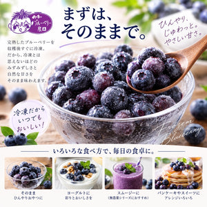 【訳あり特価】スムージーに最適な無農薬冷凍ブルーベリー2キロ