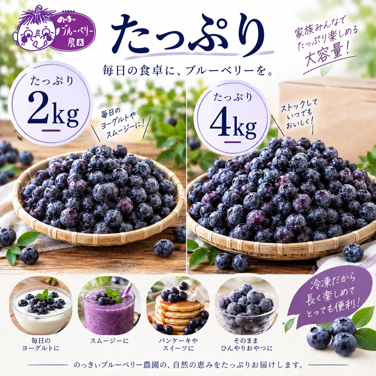 【訳あり特価】スムージーに最適な無農薬冷凍ブルーベリー4キロ