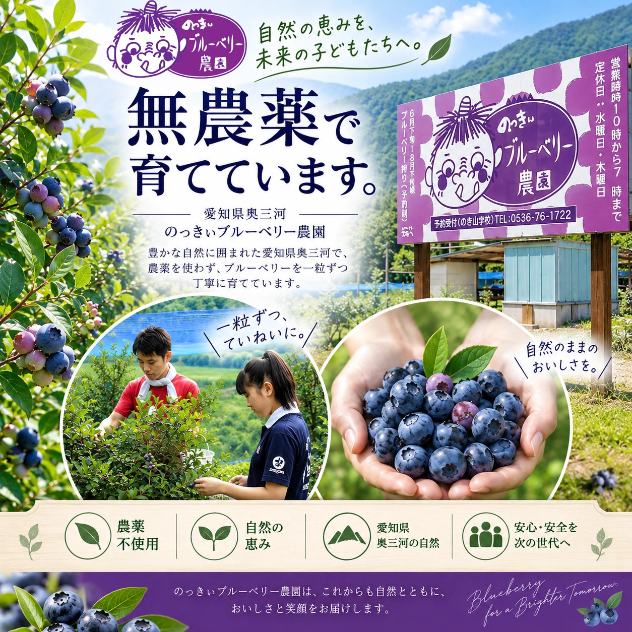 【訳あり特価】スムージーに最適な無農薬冷凍ブルーベリー4キロ