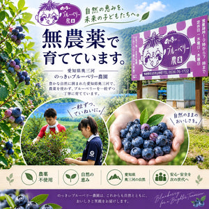 【訳あり特価】スムージーに最適な無農薬冷凍ブルーベリー2キロ