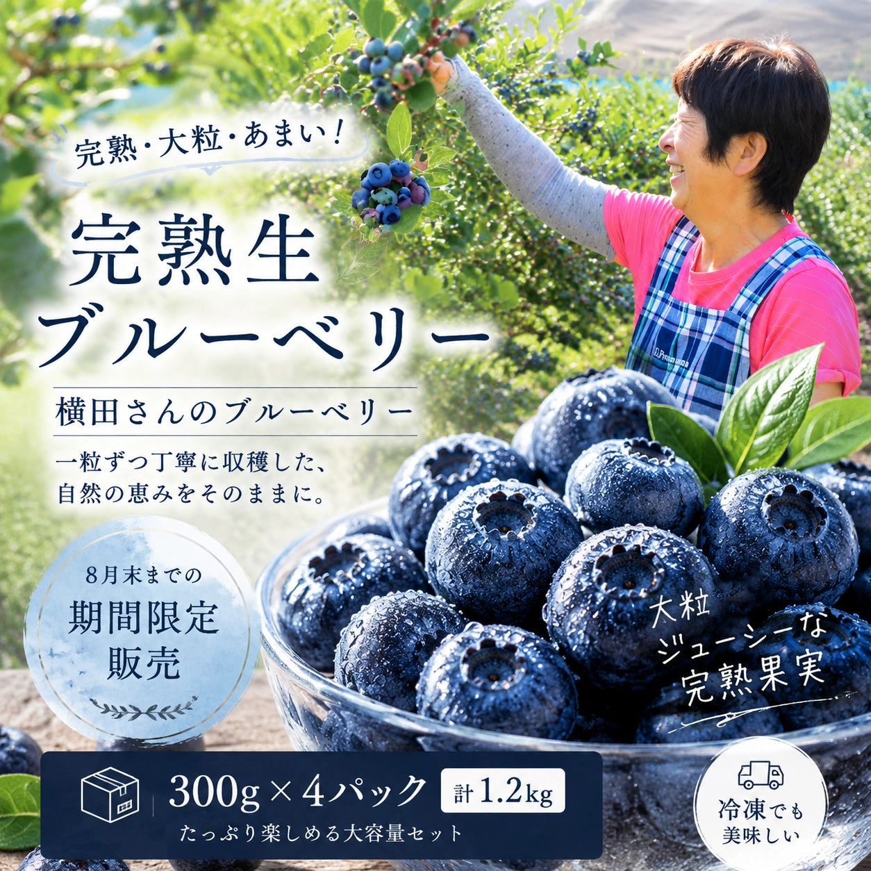 【期間限定】茨城県稲敷市産 完熟生ブルーベリー（300g×4パック・合計1.2kg）