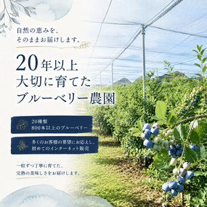 【期間限定】茨城県稲敷市産 完熟生ブルーベリー（300g×4パック・合計1.2kg）