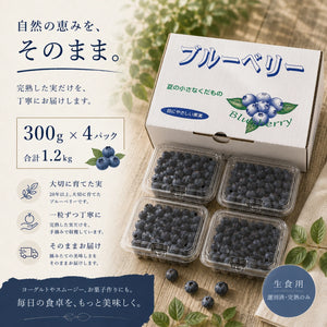 大粒サイズ】茨城県稲敷市産 完熟生ブルーベリー（300g×4パック・合計