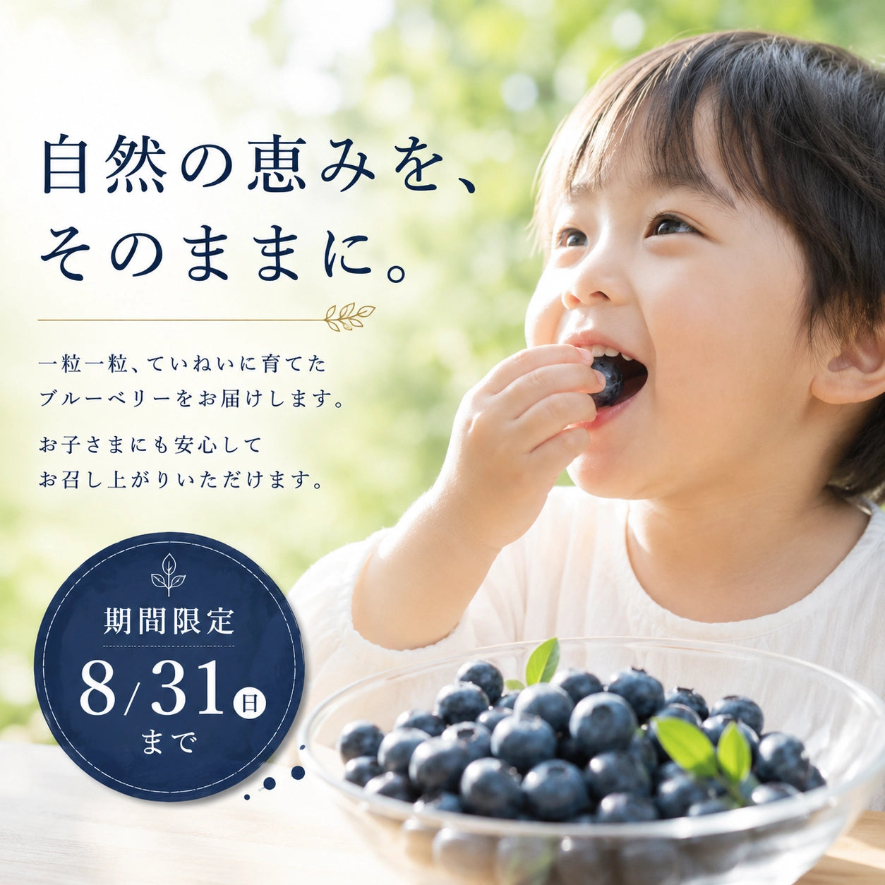 【期間限定】茨城県稲敷市産 完熟生ブルーベリー（300g×4パック・合計1.2kg）