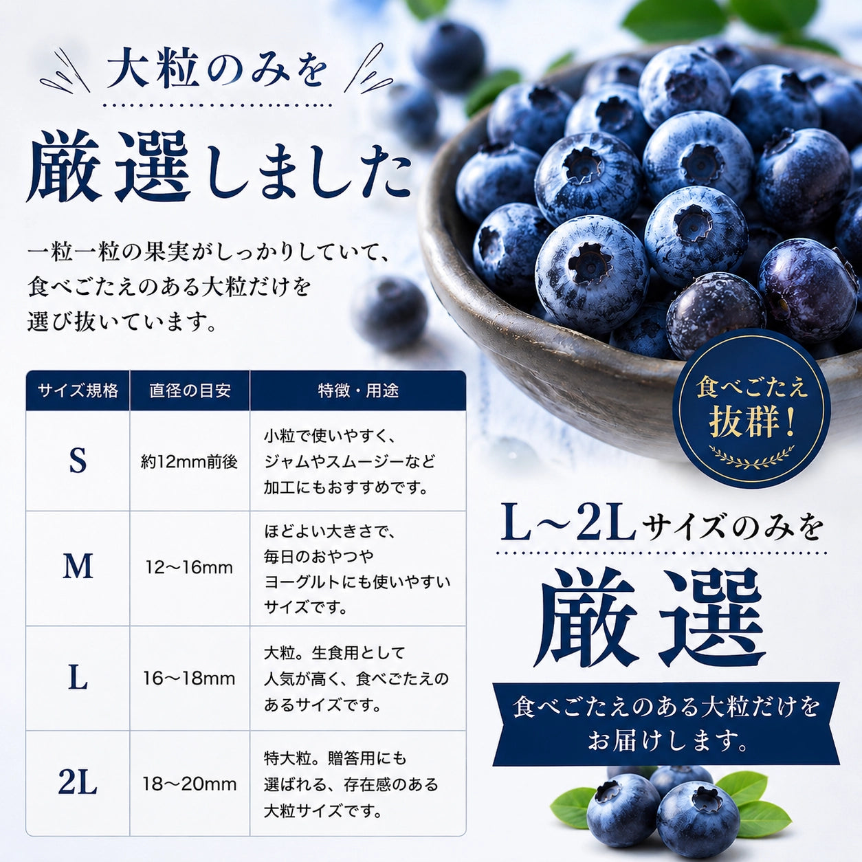 【摘みたて急速冷凍】茨城県稲敷市産 冷凍ブルーベリー大粒サイズ（600g×2パック・合計1.2kg）