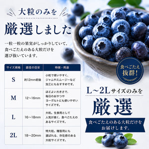 【摘みたて急速冷凍】茨城県稲敷市産 冷凍ブルーベリー大粒サイズ（600g×2パック・合計1.2kg）