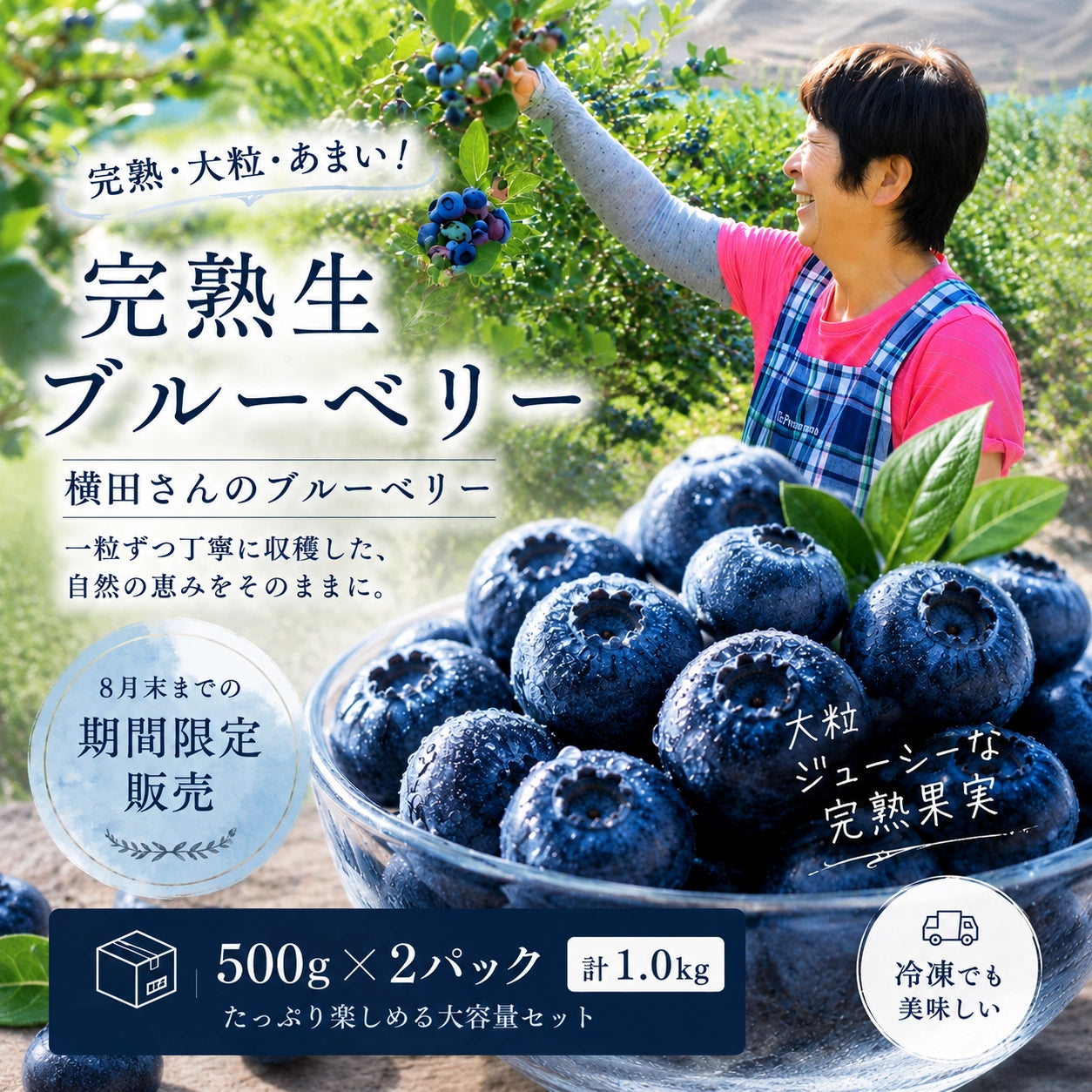 【期間限定】茨城県稲敷市産 完熟生ブルーベリー（500g×2パック・合計1.0kg）
