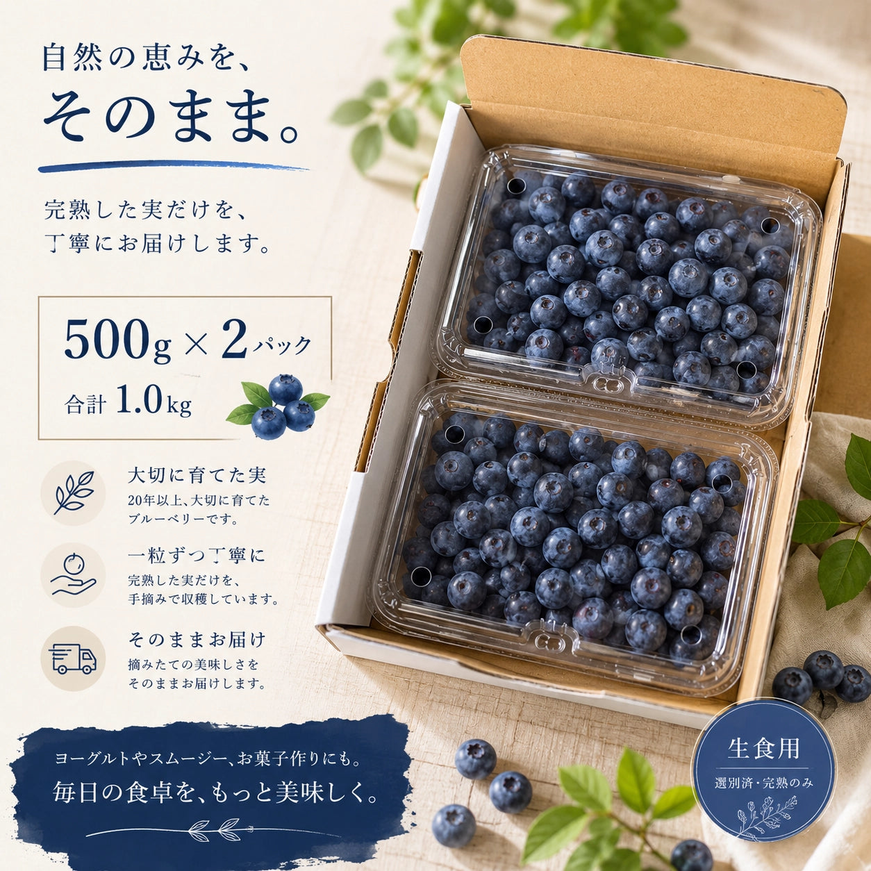 【期間限定】茨城県稲敷市産 完熟生ブルーベリー（500g×2パック・合計1.0kg）