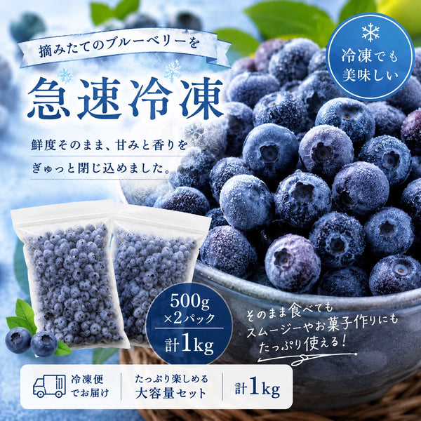 【摘みたて急速冷凍】茨城県稲敷市産 冷凍ブルーベリー（500g×2パック・合計1kg）
