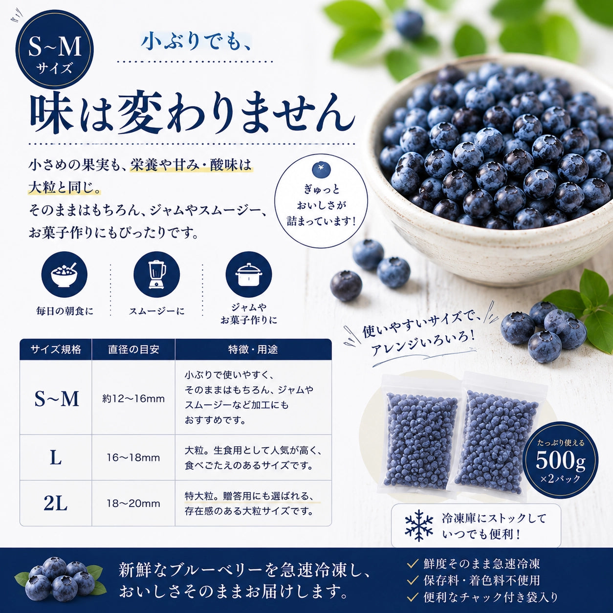 【摘みたて急速冷凍】茨城県稲敷市産 冷凍ブルーベリー（500g×2パック・合計1kg）