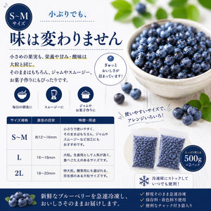 【摘みたて急速冷凍】茨城県稲敷市産 冷凍ブルーベリー（500g×2パック・合計1kg）