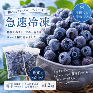 【摘みたて急速冷凍】茨城県稲敷市産 冷凍ブルーベリー大粒サイズ（600g×2パック・合計1.2kg）