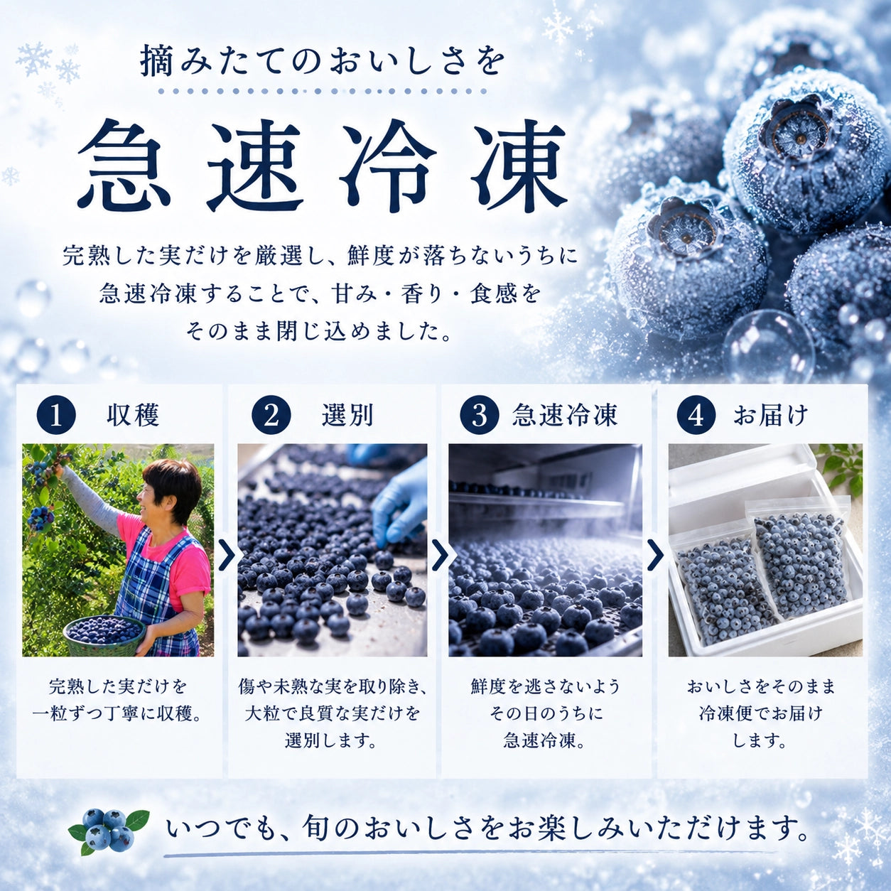 摘みたて急速冷凍】茨城県稲敷市産 冷凍ブルーベリー大粒サイズ（600g