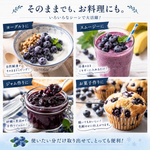 【摘みたて急速冷凍】茨城県稲敷市産 冷凍ブルーベリー大粒サイズ（600g×2パック・合計1.2kg）