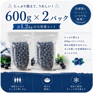 【摘みたて急速冷凍】茨城県稲敷市産 冷凍ブルーベリー大粒サイズ（600g×2パック・合計1.2kg）