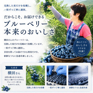 【摘みたて急速冷凍】茨城県稲敷市産 冷凍ブルーベリー大粒サイズ（600g×2パック・合計1.2kg）