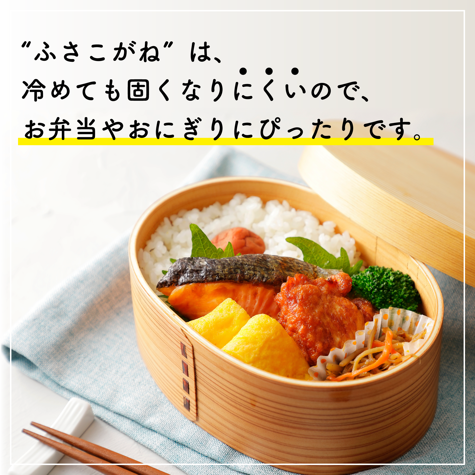 千葉県のお米「ふさこがね」