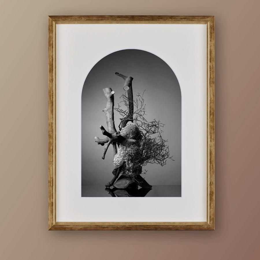 IKEBANA PHOTO「kouei  series【西洋紫陽花】」