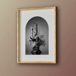 IKEBANA PHOTO「kouei  series【西洋紫陽花】」