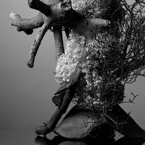 IKEBANA PHOTO「kouei  series【西洋紫陽花】」