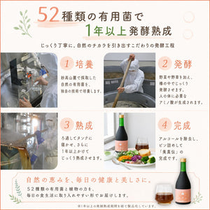 ファスティング酵素 美真伝