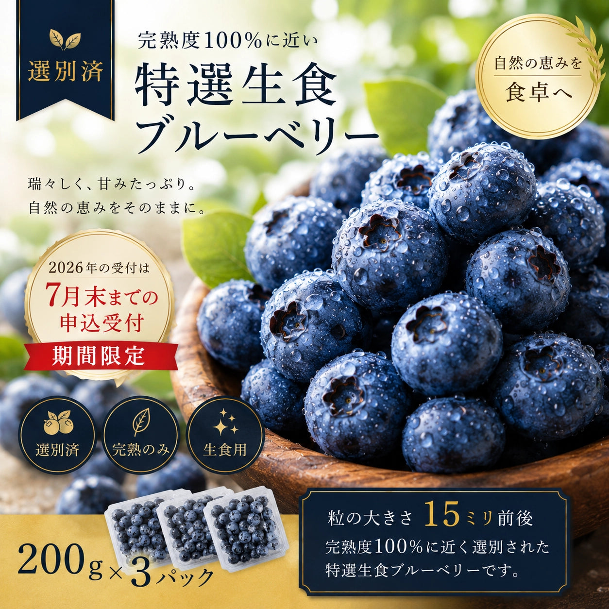 完熟生食ブルーベリー | 選別済・期間限定のお届け（200g×3パック）