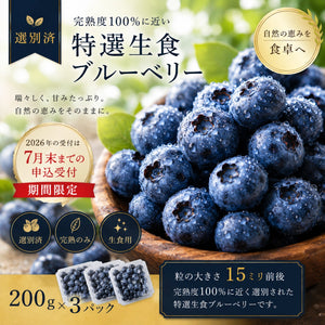 完熟生食ブルーベリー | 選別済・期間限定のお届け（200g×3パック）