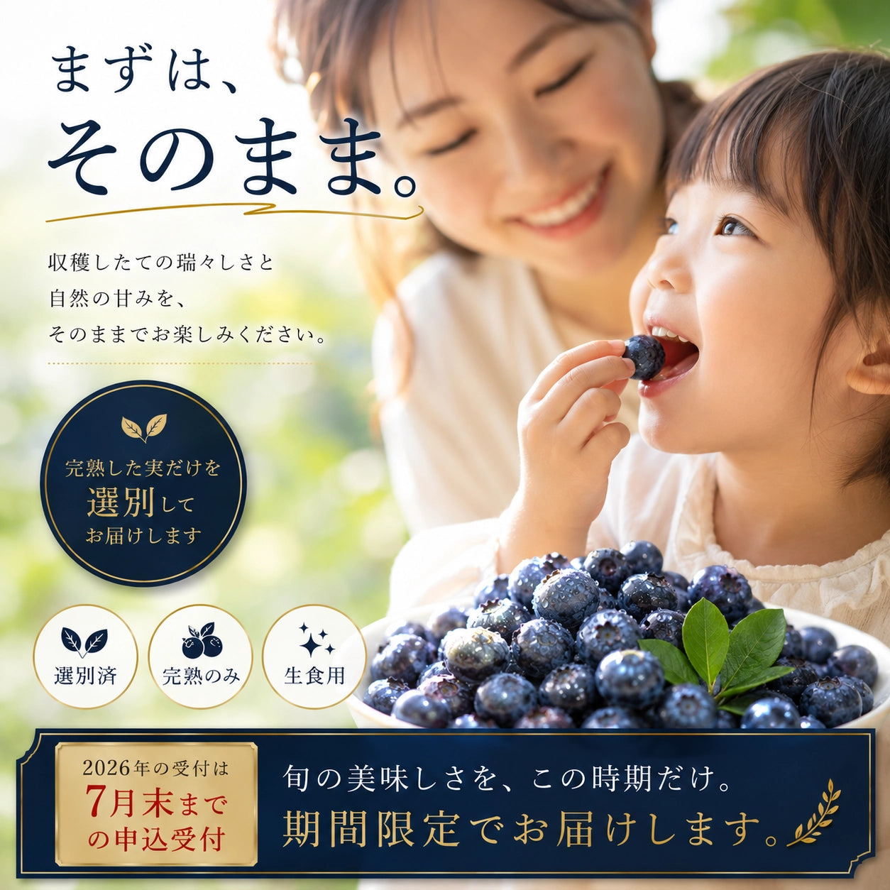 完熟生食ブルーベリー | 選別済・期間限定のお届け（200g×6パック）