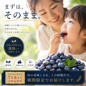 完熟生食ブルーベリー | 選別済・期間限定のお届け（200g×6パック）