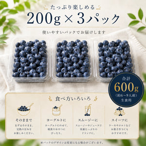 完熟生食ブルーベリー | 選別済・期間限定のお届け（200g×3パック）