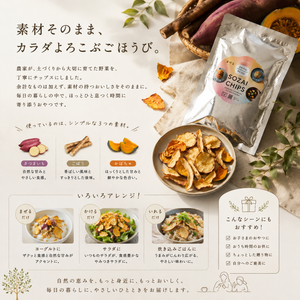 【なまら十勝野 一番人気!!】SOZAI CHIPS【MIX】