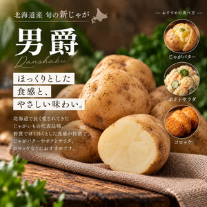 北海道十勝産 旬の新じゃが 20kg｜4品種から選べる