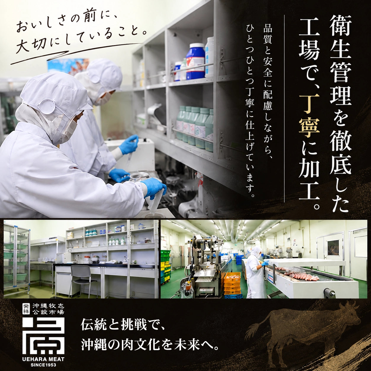 沖縄県産 石垣牛＆あぐー豚 ハンバーグ2種食べ比べ10個セット（各5個）