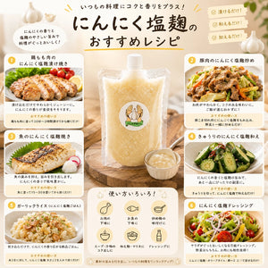 にんにく生塩麹｜HAKUAミネラル入り 無添加発酵調味料