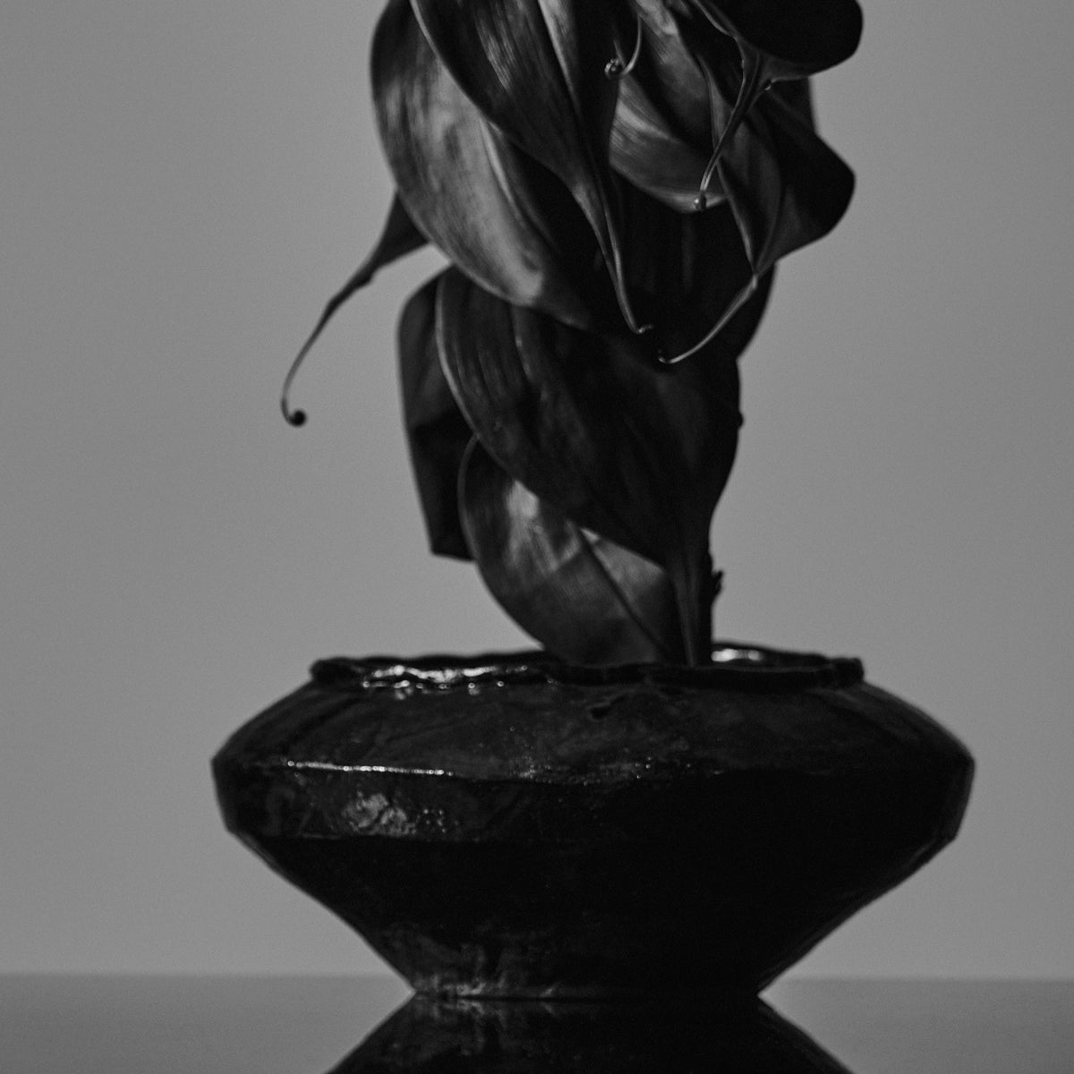 IKEBANA PHOTO「kouei  series【百合車】」