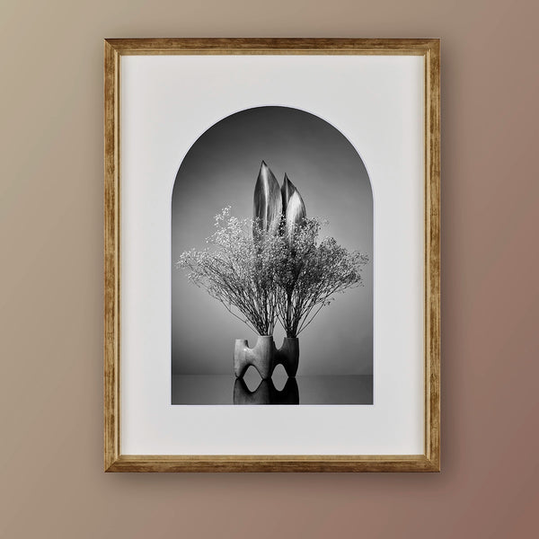 IKEBANA PHOTO「kouei  series【葉蘭】」