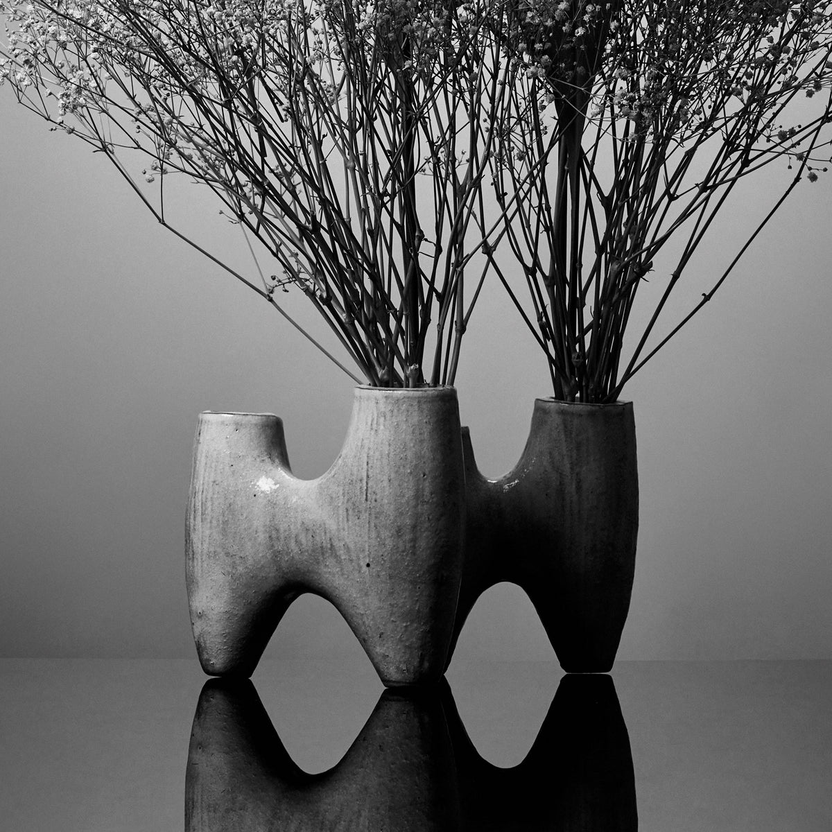 IKEBANA PHOTO「kouei  series【葉蘭】」