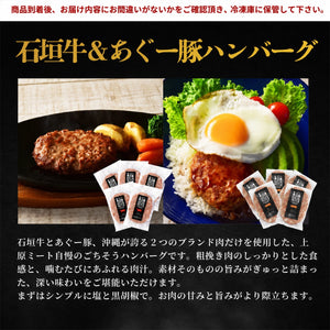沖縄県産 石垣牛＆あぐー豚 ハンバーグ2種食べ比べ6個セット（各3個）
