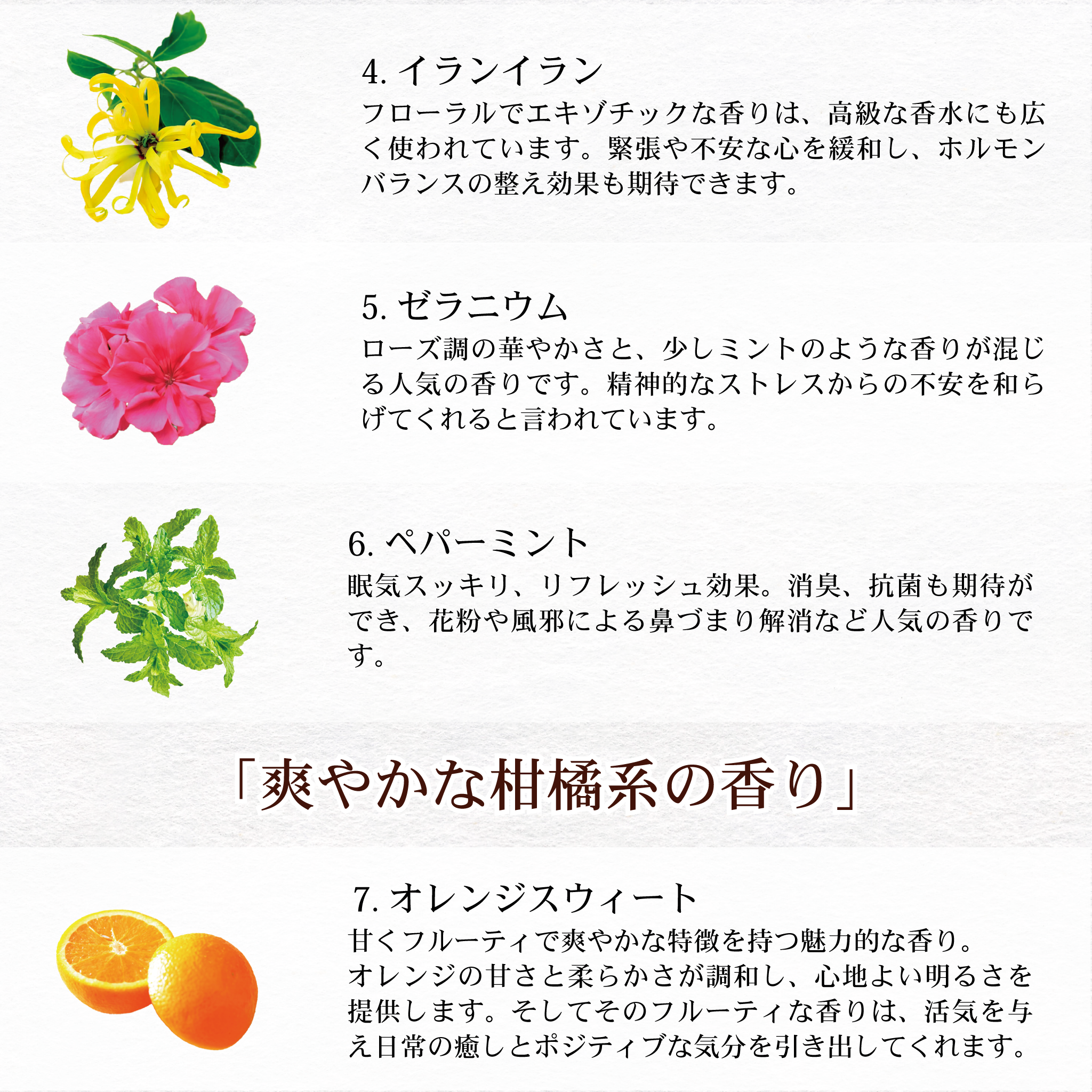 11種の香りから選べる「馬油マルチバーム」