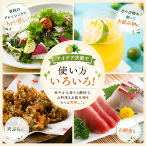 山原シークヮーサー 300ml｜沖縄県大宜味村産 果汁100％ストレート