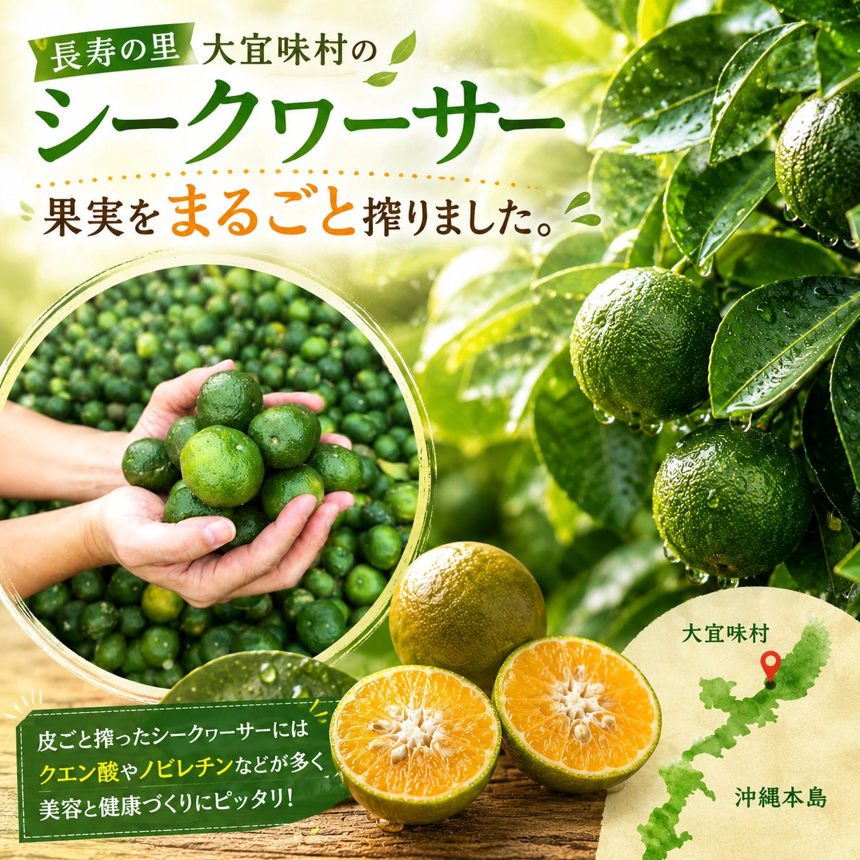 家族で飲みたい 100％まるごとシークヮーサー 500ml | 沖縄県大宜味村産 果汁100％