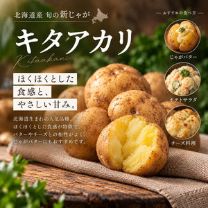 北海道十勝産 旬の新じゃが 20kg｜4品種から選べる